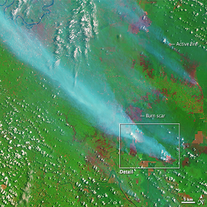 Satellite Imagery